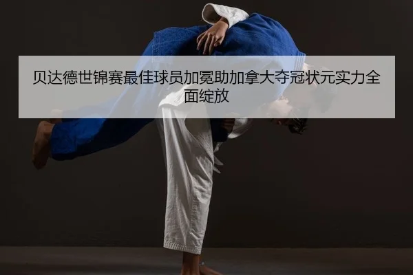 bei-da-de-shi-jin-sai-zui-jia-qiu-yuan-jia-mian-zhu-jia-na-da-duo-guan-zhuang-yuan-shi-li-quan-mian-zhan-fang-2-108.jpg