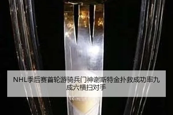 ji-hou-sai-shou-lun-you-qi-bing-men-shen-xie-si-te-jin-pu-jiu-cheng-gong-lv-jiu-cheng-liu-heng-sao-dui-shou-2-366.jpg